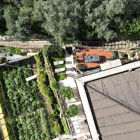 Cav Gli Ulivi Di Bogliasco Parcheggio Privato Gratuito 빌라 외부 사진