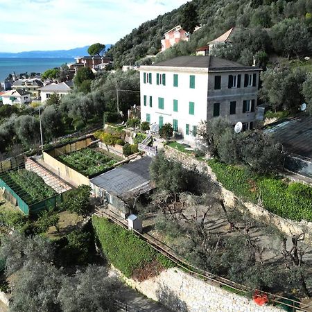 Cav Gli Ulivi Di Bogliasco 빌라 외부 사진