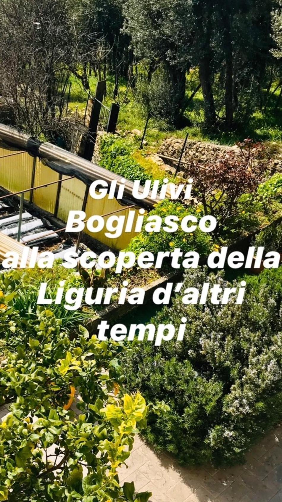 Cav Gli Ulivi Di Bogliasco 빌라 외부 사진