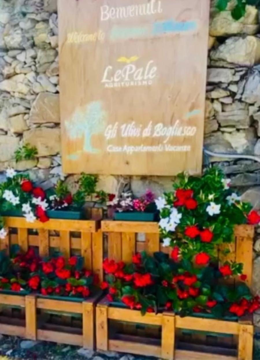 Cav Gli Ulivi Di Bogliasco Parcheggio Privato Gratuito 빌라 외부 사진