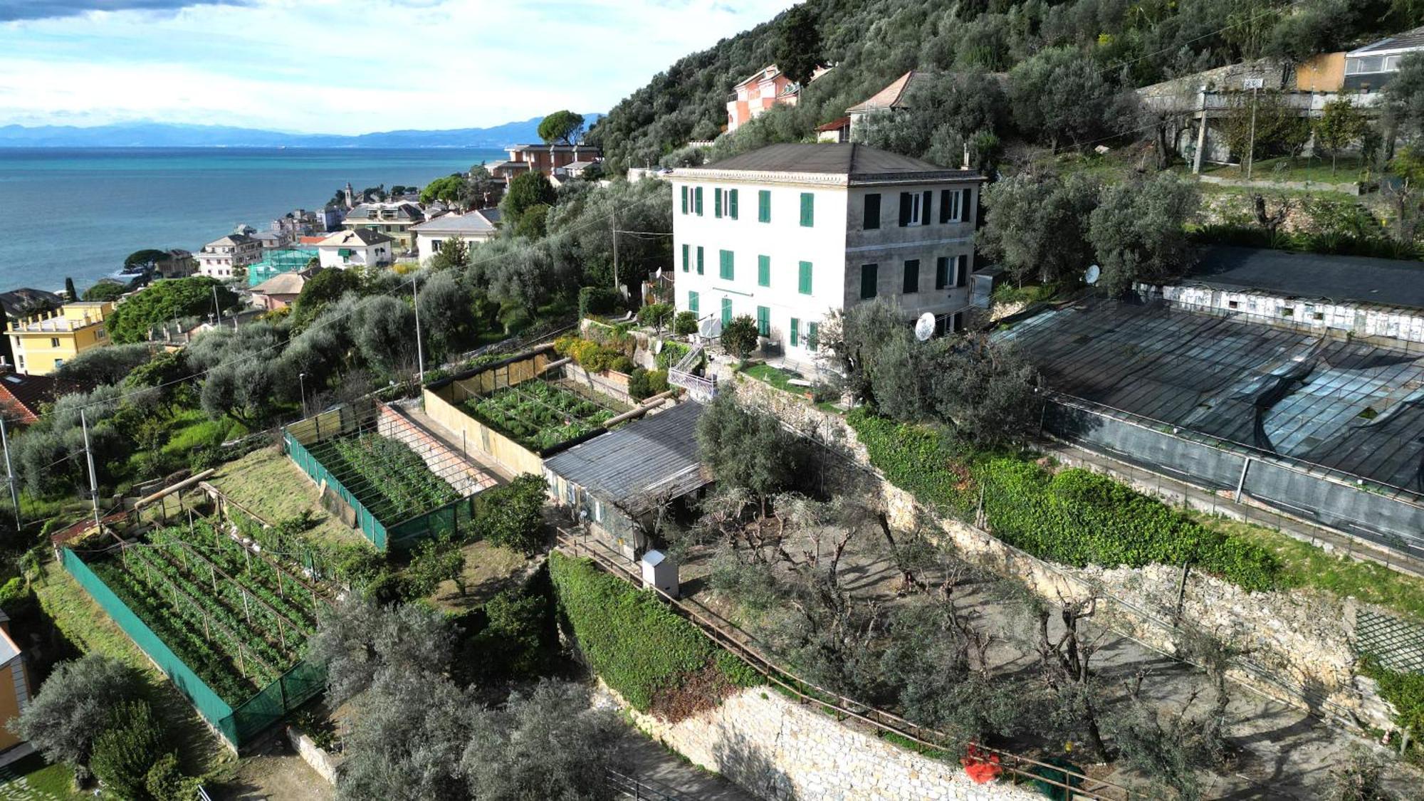 Cav Gli Ulivi Di Bogliasco Parcheggio Privato Gratuito 빌라 외부 사진
