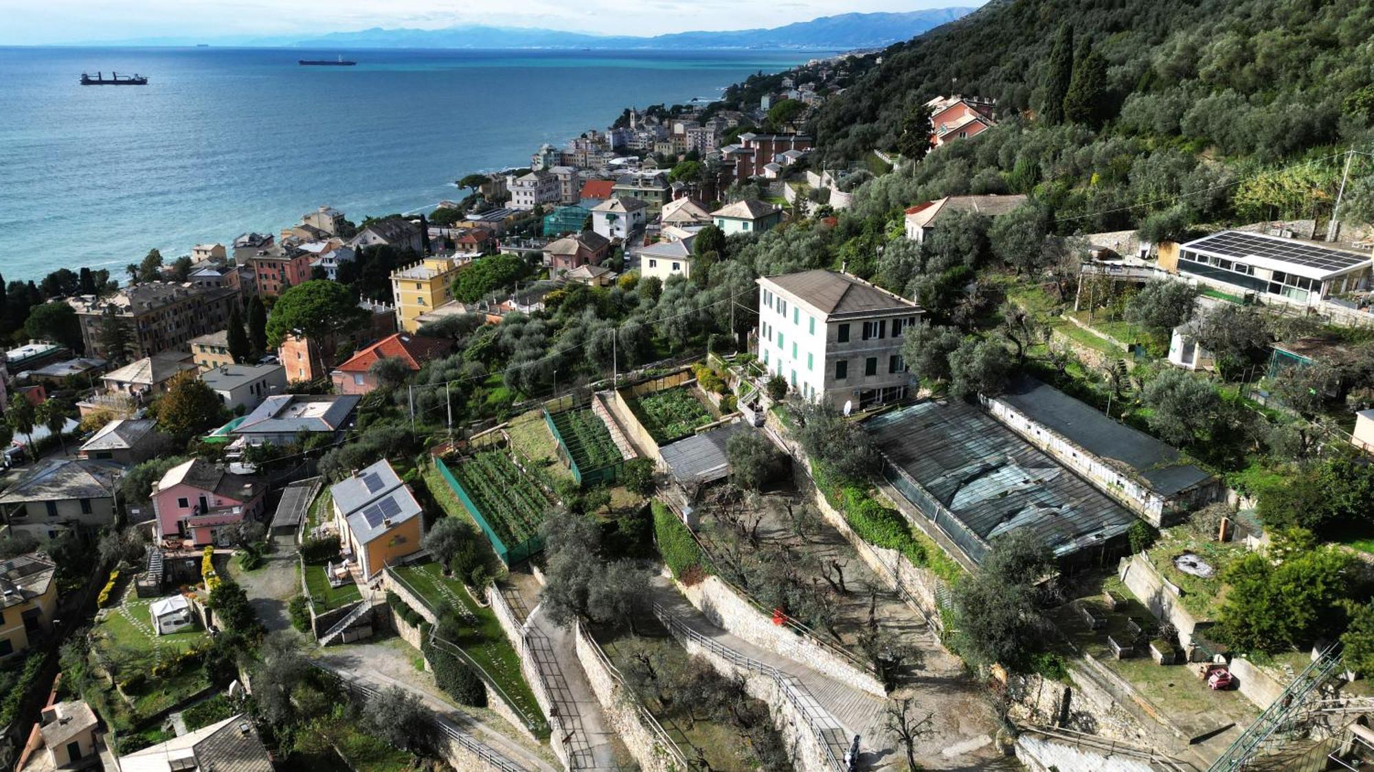 Cav Gli Ulivi Di Bogliasco 빌라 외부 사진